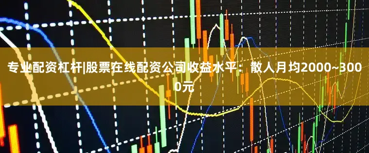 专业配资杠杆|股票在线配资公司收益水平：散人月均2000~3000元