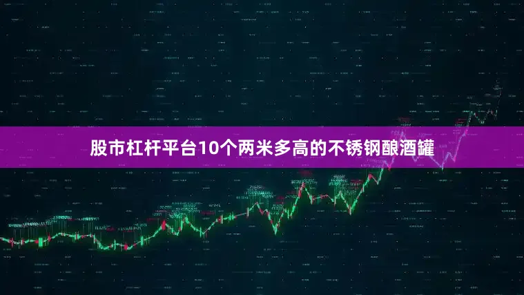 股市杠杆平台10个两米多高的不锈钢酿酒罐