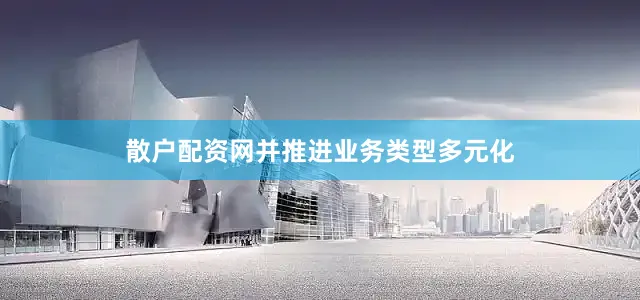 散户配资网并推进业务类型多元化